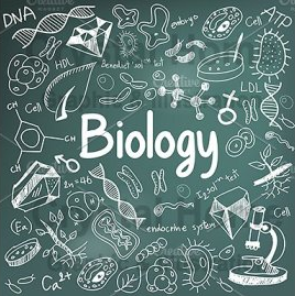 Biologi Farmasi